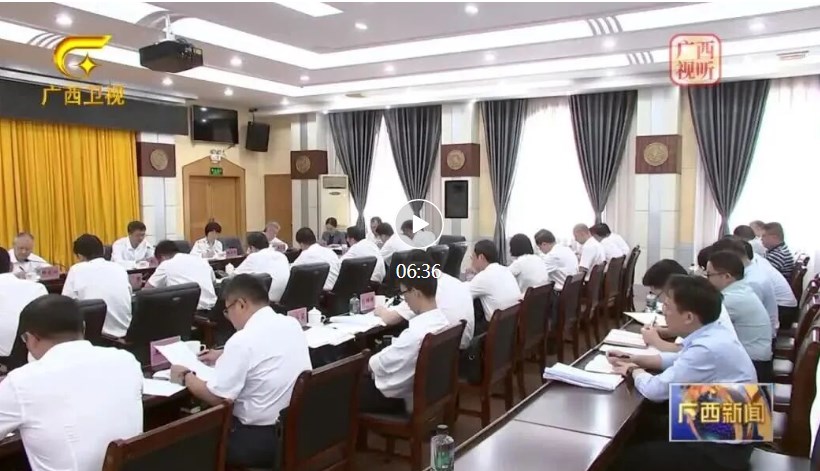 陳剛：以打造南丹關(guān)鍵金屬高質(zhì)量發(fā)展綜合試驗區(qū)為突破口帶動全區(qū)有色金屬產(chǎn)業(yè)高質(zhì)量發(fā)展